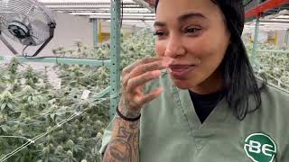 BE Grow Tour, Farm Fruit Picking + Goats of Cannabis Fest | Dreka Gates