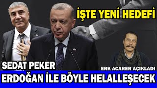 Sedat Peker Erdoğanla Nasıl Helalleşecek Acarer Erdoğanla Böyle Helalleşecek... Erk Acarer