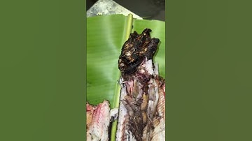 Cá lóc đồng nướng trui đặc sản của người dân miền tây