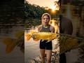 Golden River Fish Survival 🐟🔥 #junglecooking #shorts #wildlife