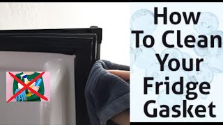 How To Clean Refrigerator Door Yellow Rubber or Gasket - Day In The Life - Clean With Me
