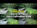 10bit の立体感がすごい！！Nikon Z6 & NIKKOR Z 24mm f/1.8 S の8bit、10bit、N-Log、12bit ProRes RAW 比較