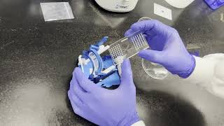 AtlasXpress User Guide for Spatial FlowGel Platform | Comprehensive Assay Tutorial