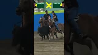 Primeiro Boi Bruno Brilhante