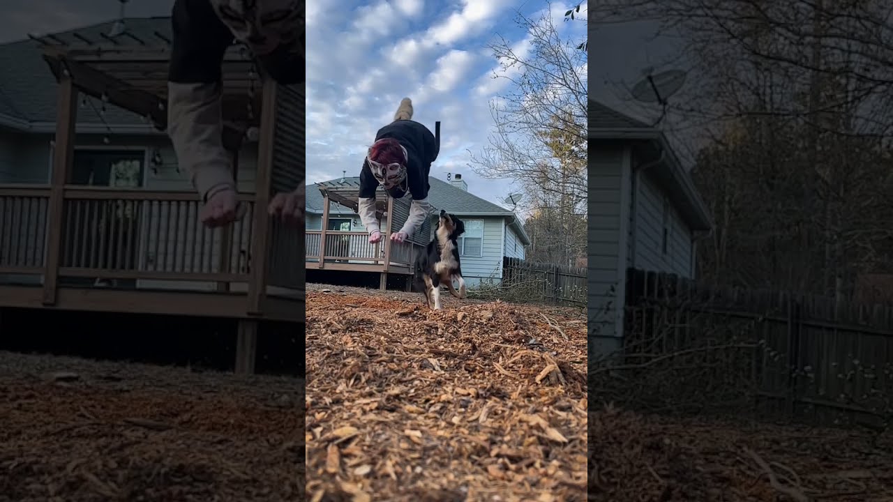  Quadrobics Therian Fyp Edit Slaying Jump