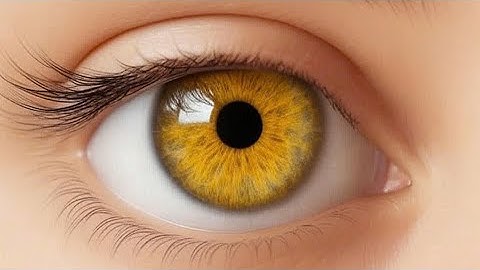 12 Wasilah Dzikir 5 - الرقية الشرعية | رقية شرعية قوية | لعلاج السحر و العين و الحسد بإذن الله