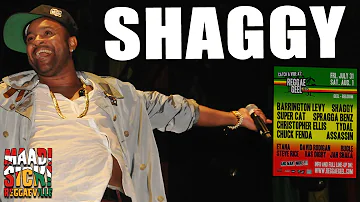 Shaggy - Church Heathen @ Reggae Geel 2015