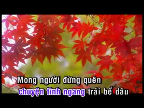 Nhẫn Cỏ Cho Em 3 karaoke nhạc sống ca sĩ Mạnh Quỳnh