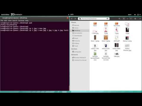 Linux Basics -