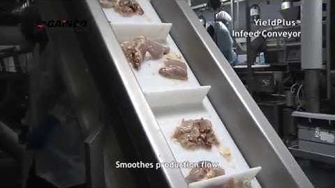 YieldPlus® Debone/Trim Management System from Gainco – Infeed Conveyor