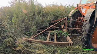 видео: Боремся с сорняками выше человеческого роста. Вывозим рулоны сена. Самодельный триммер для трактора. картинка: Боремся с сорняками выше человеческого роста. Вывозим рулоны сена. Самодельный триммер для трактора.