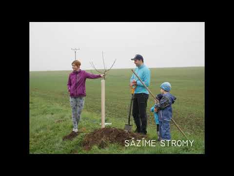 Video: Jak Zajistit, Aby Váš Strom Voněl Silněji