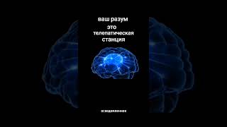 #саморазвитие #самопознание #ваш разум это телепатическая станция
