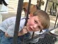 Little boy gets his head stuck in a fence