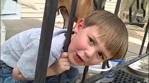 Little Boy Gets His Head Stuck In A Fence