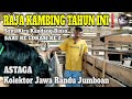 ASTAGA.. Ternyata Bisa 500 Ekor Tertampung. Kolektor Kambing Jawa Randu Jumboan