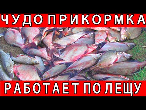 СУПЕР ПРИКОРМКА НА ЛЕЩА - СЕКРЕТНЫЙ РЕЦЕПТ ДЛЯ ЛОВЛИ на ФИДЕР