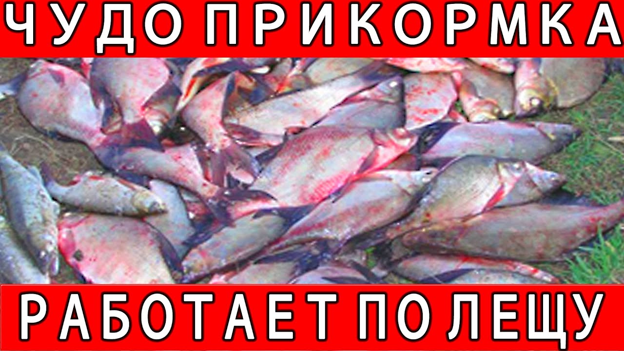 СУПЕР ПРИКОРМКА НА ЛЕЩА - СЕКРЕТНЫЙ РЕЦЕПТ ДЛЯ ЛОВЛИ на ФИДЕР