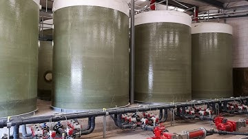 Dr. FERM: liquid fermentation, fermented feedstuffs, solid state fermentation, pigs, poultry