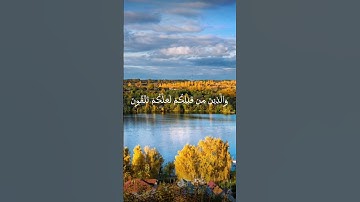 الشيخ ماهر المعيقلي سورة البقرة يا أيها الناس اعبدوا ربكم #ماهر_المعيقلي#سورة_البقرة