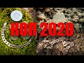 КОП 2020 ГОДА НАЧАЛСЯ! ЖЕСТЬ ХАЛЯВА! ЗОЛОТО НА КОПЕ В КРЫМУ!