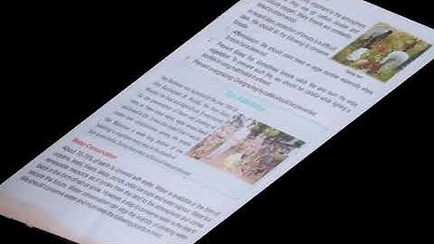 Class 5-Science - Ch 13, Natural Resources, 01-02-2022