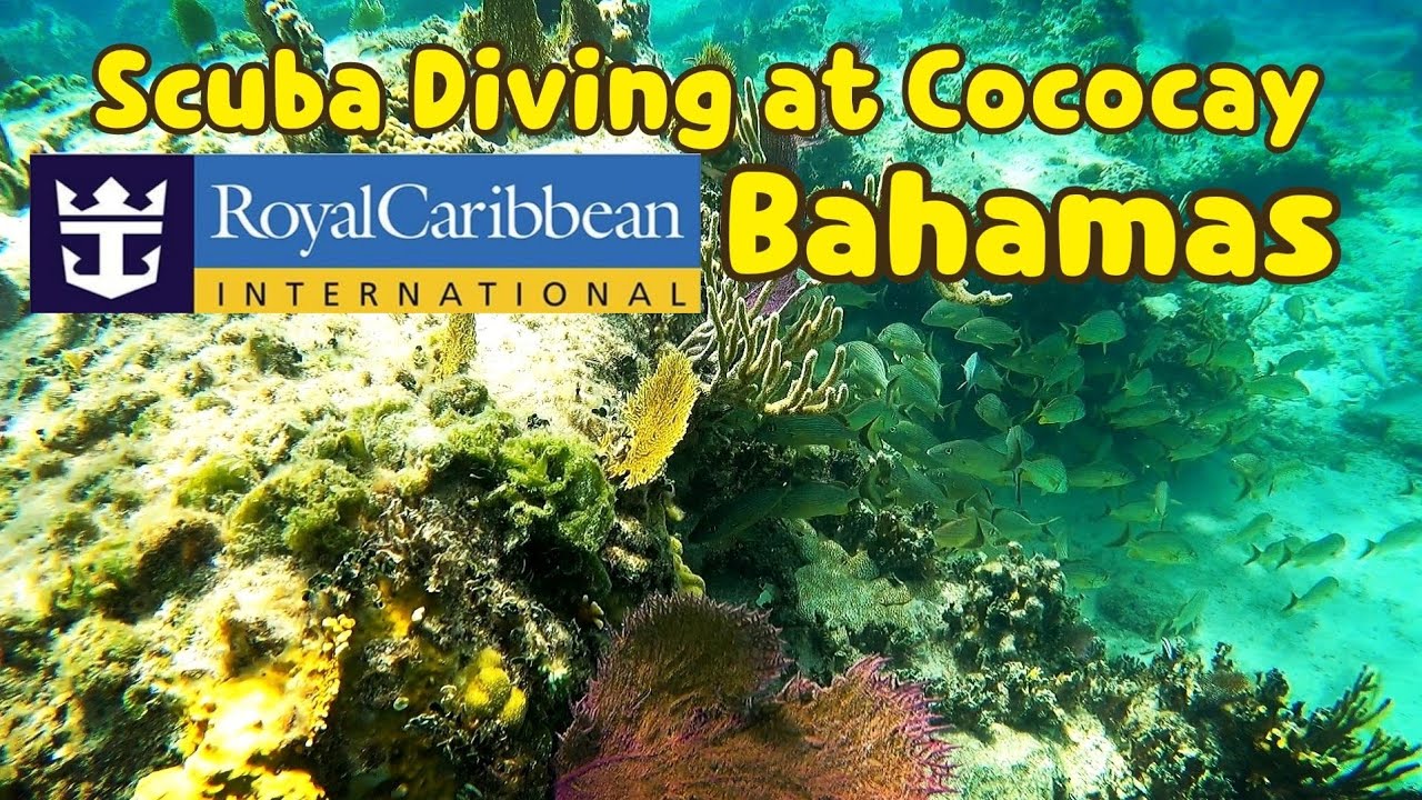 Perfect day at Cococay Scuba Diving Oasis of The Seas Cruise to Bahamas