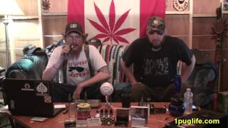 THC episode-88 Mettrum / health canada conumdrum