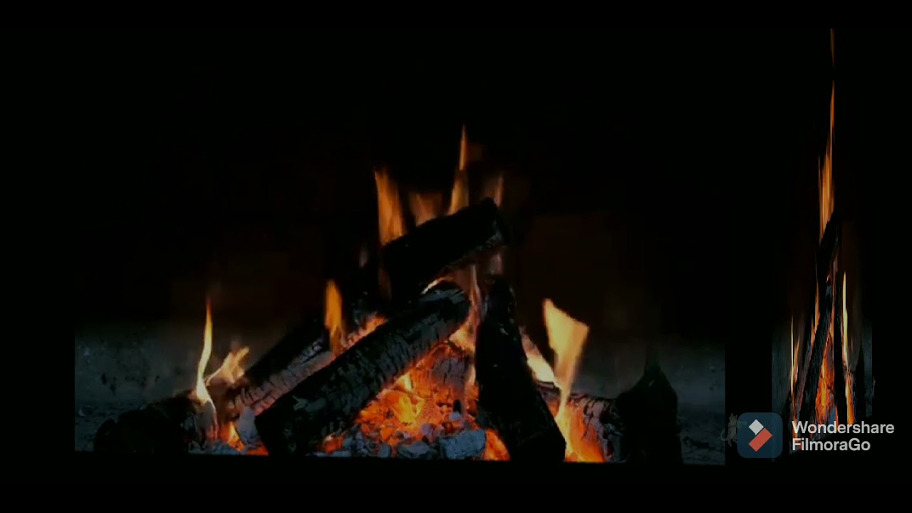 Relaxing Camp fire 🔥| 