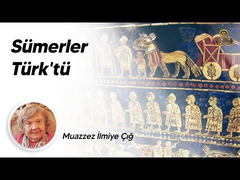 Video: Di iş dünyasında ne anlama geliyor?