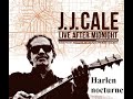 Jj cale  steve douglas sax  harlem nocturne live at the guthrie theatre minneapolis mn 1990