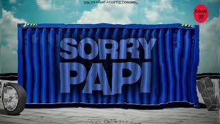 SORRY PAPI (REMIX) BAD BUNNY, ABRA - COLOO DJ ft. Agustin Coronel
