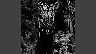 Pine Barrens