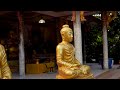 Om Mani Padme Hum | Meditative Sound of Buddhist | Peaceful Chanting | Buddhist Mantra |♫