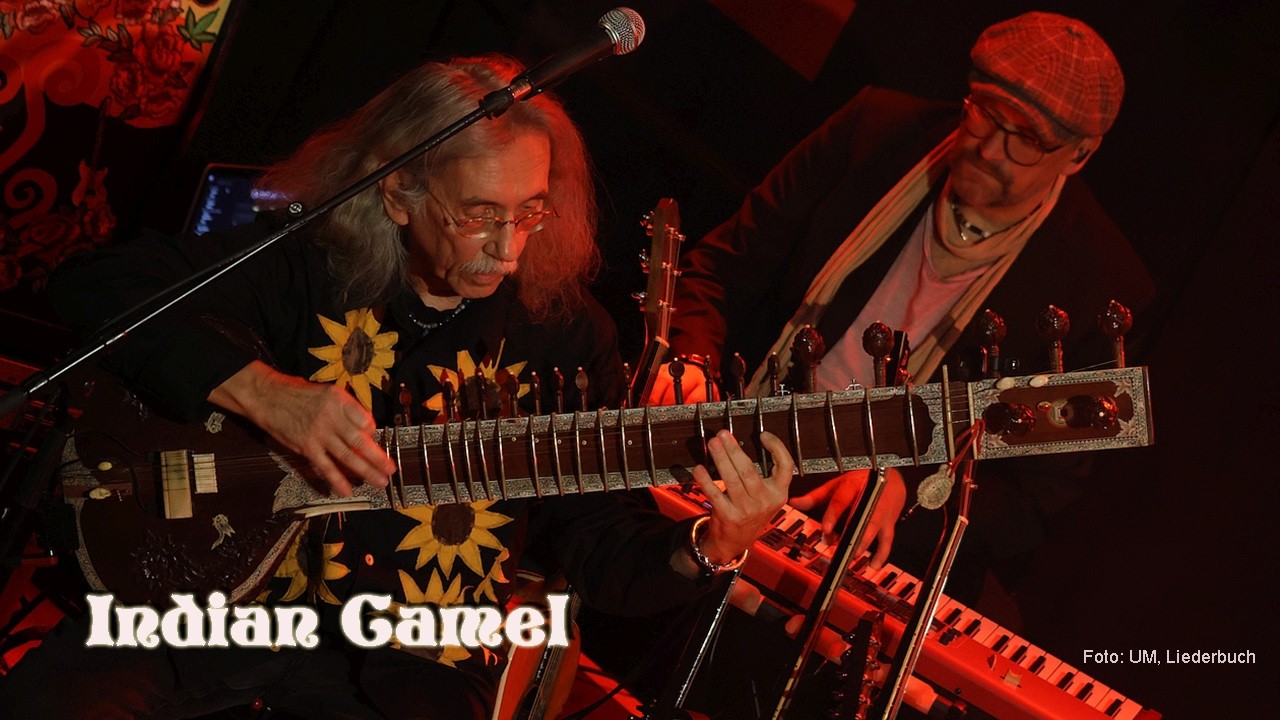 Bröselmaschine - Indian Camel