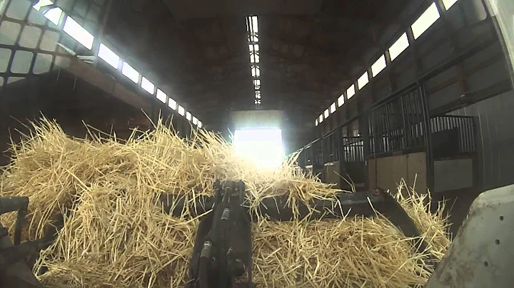 Cleaning and Strawing the Barns with the Bobcat