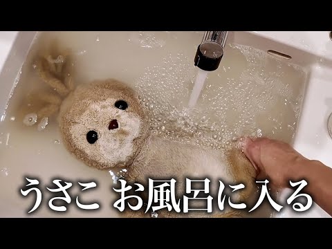 【風呂キャンセル界隈】生まれてからずっと一緒にいる愛するうさこを2年振りにお風呂に入れたらドブみたいな水出てきたよ🐰笑