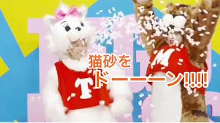 猫中毒 歌詞「テゴマス」ふりがな付|歌詞検索サイト【UtaTen】