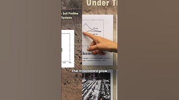 Does this Settle the Tillage vs No-Till Debate for Water Infiltration?