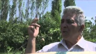 Popular Videos - Dagestan & Doentary Movies