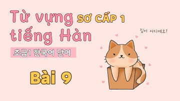 Từ vựng tiếng Hàn sơ cấp 1 - Bài 9 | Đọc dịch song ngữ