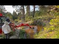 Trip to Off-Grid Cabin: Wasp Attack, Wild Pond and New Fence and Pocket Door. Episode 4 #offgrid