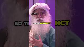 Building Boundaries Vs Expanding Horizons The Battle Within