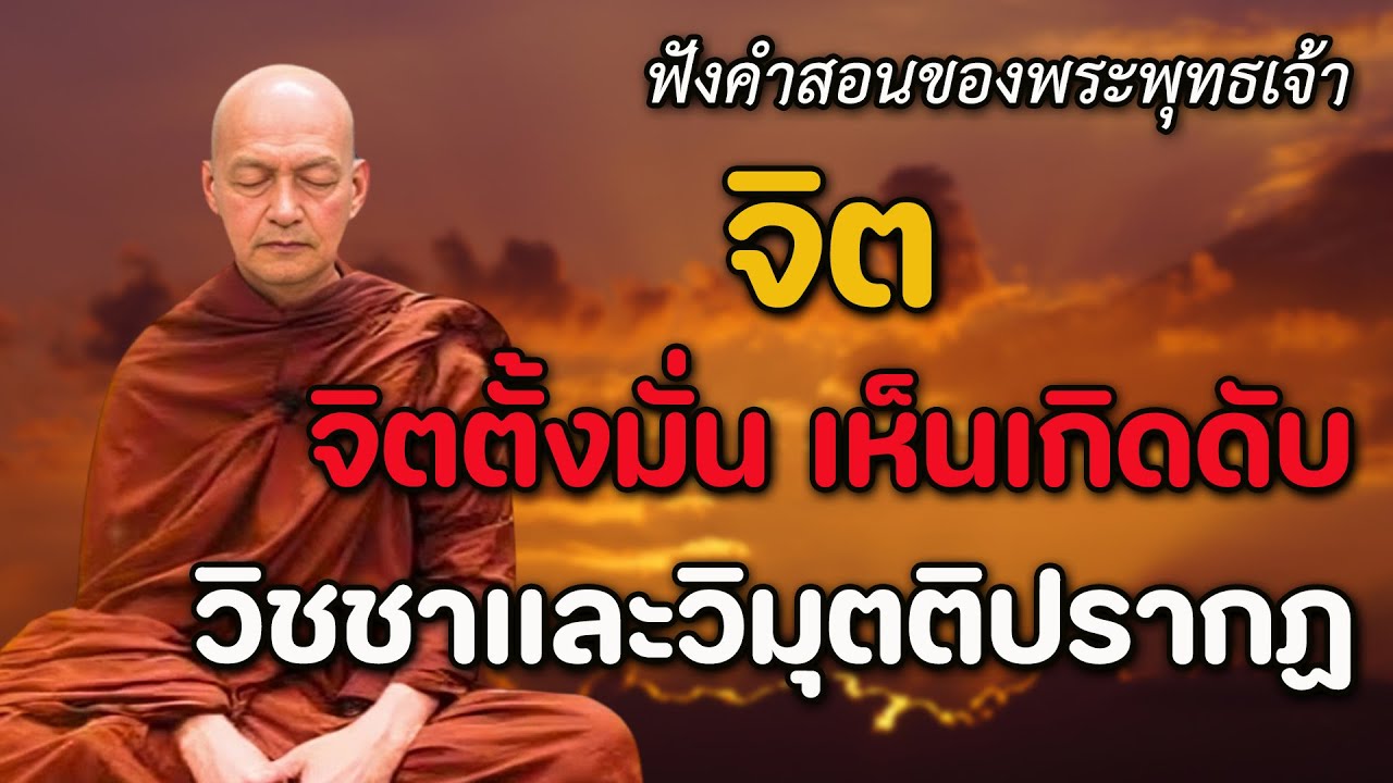 จิต จิตตั้งมั่น เห็นเกิดดับ วิชชาและวิมุตติปรากฏ #ฟังคำสอนของพระพุทธเจ้า