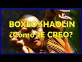 Boxeo shaolin la creacin del estilo de kung fu mas poderoso