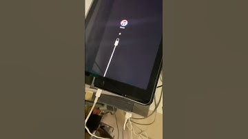 iPad disabled
