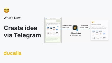 Never Lose a Customer Idea Again! Seamlessly Capture Feedback with Ducalis Telegram Bot