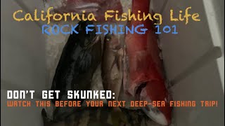 What You Should Know Before Going Deep Sea Fishing!