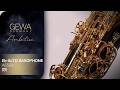 GEWA Germany Eb-Alto Saxophone AS501 Ambition