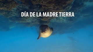 Día de la madre tierra by Trip in México 166 views 3 years ago 1 minute, 5 seconds